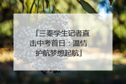 三秦学生记者直击中考首日：温情护航梦想起航