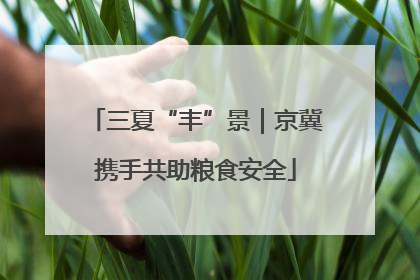 三夏“丰”景｜京冀携手共助粮食安全