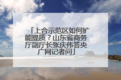 上合示范区如何扩能提质？山东省商务厅副厅长张庆伟答央广网记者问