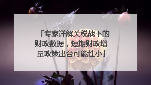 专家详解关税战下的财政数据，短期财政增量政策出台可能性小