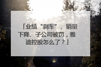 业绩“刹车”、销量下降、子公司被罚，雅迪控股怎么了？