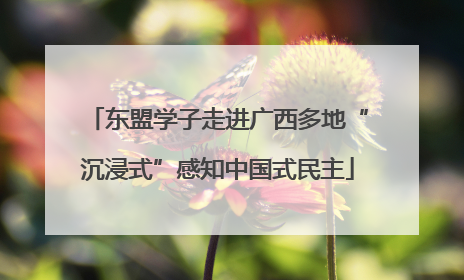 东盟学子走进广西多地“沉浸式”感知中国式民主