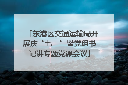 东港区交通运输局开展庆“七一”暨党组书记讲专题党课会议