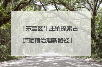 东营区牛庄镇探索占道晒粮治理新路径