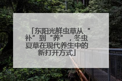 东阳光鲜虫草从“补”到“养”，冬虫夏草在现代养生中的新打开方式