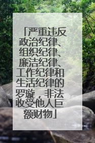 严重违反政治纪律、组织纪律、廉洁纪律、工作纪律和生活纪律的罗璇，非法收受他人巨额财物