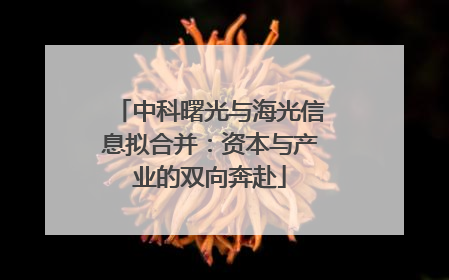 中科曙光与海光信息拟合并：资本与产业的双向奔赴