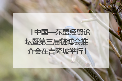 中国—东盟经贸论坛暨第三届链博会推介会在吉隆坡举行