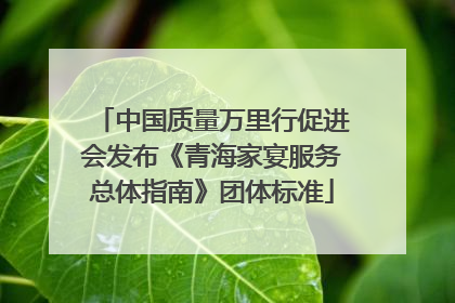 中国质量万里行促进会发布《青海家宴服务总体指南》团体标准