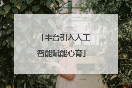 丰台引入人工智能赋能心育