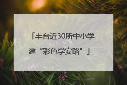 丰台近30所中小学建“彩色学安路”