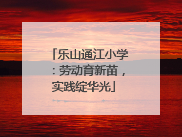 乐山通江小学：劳动育新苗，实践绽华光