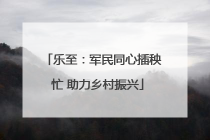 乐至：军民同心插秧忙 助力乡村振兴