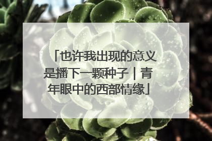 也许我出现的意义是播下一颗种子｜青年眼中的西部情缘