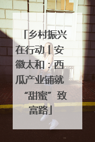 乡村振兴在行动丨安徽太和：西瓜产业铺就“甜蜜”致富路