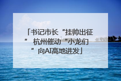 书记市长“挂帅出征” 杭州催动“小龙们”向AI高地进发