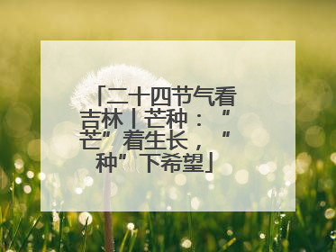 二十四节气看吉林丨芒种：“芒”着生长，“种”下希望