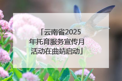 云南省2025年托育服务宣传月活动在曲靖启动