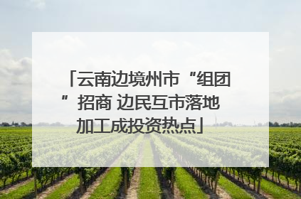 云南边境州市“组团”招商 边民互市落地加工成投资热点