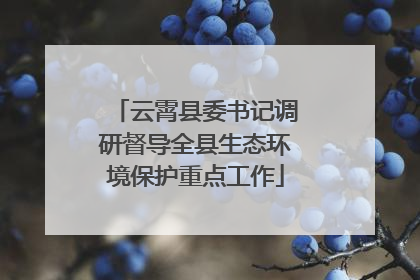 云霄县委书记调研督导全县生态环境保护重点工作