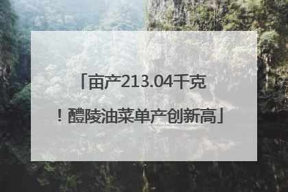 亩产213.04千克！醴陵油菜单产创新高