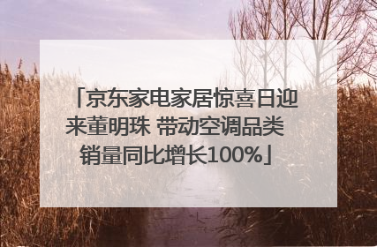 京东家电家居惊喜日迎来董明珠 带动空调品类销量同比增长100%