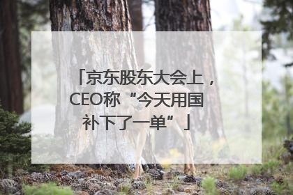 京东股东大会上，CEO称“今天用国补下了一单”
