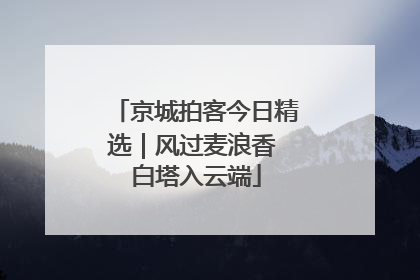京城拍客今日精选｜风过麦浪香 白塔入云端