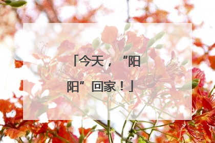 今天，“阳阳”回家！