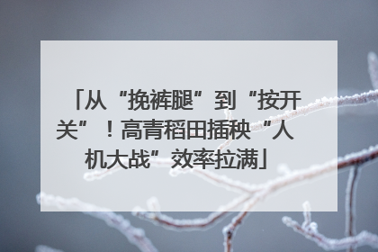 从“挽裤腿”到“按开关”！高青稻田插秧“人机大战”效率拉满