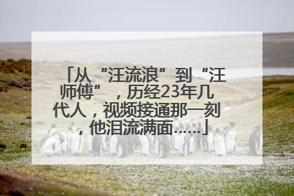 从“汪流浪”到“汪师傅”，历经23年几代人，视频接通那一刻，他泪流满面……