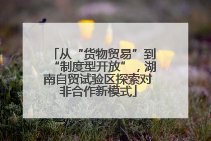 从“货物贸易”到“制度型开放”，湖南自贸试验区探索对非合作新模式