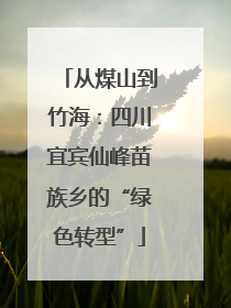 从煤山到竹海：四川宜宾仙峰苗族乡的“绿色转型”