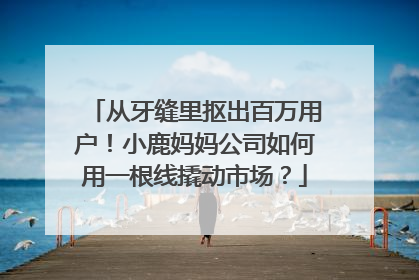 从牙缝里抠出百万用户！小鹿妈妈公司如何用一根线撬动市场？