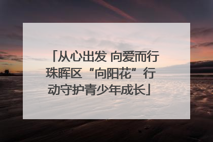 从心出发 向爱而行 珠晖区“向阳花”行动守护青少年成长