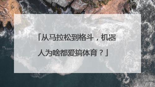 从马拉松到格斗，机器人为啥都爱搞体育？