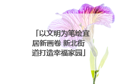 以文明为笔绘宜居新画卷 新北街道打造幸福家园