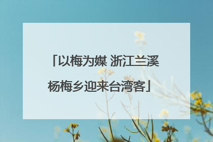 以梅为媒 浙江兰溪杨梅乡迎来台湾客
