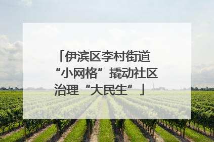 伊滨区李村街道 “小网格”撬动社区治理“大民生”