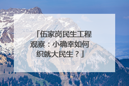 伍家岗民生工程观察：小确幸如何织就大民生？