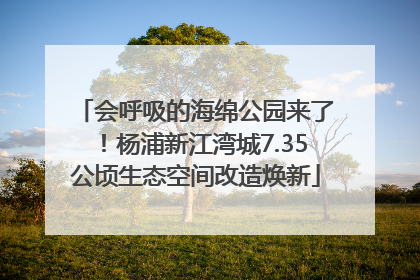 会呼吸的海绵公园来了！杨浦新江湾城7.35公顷生态空间改造焕新