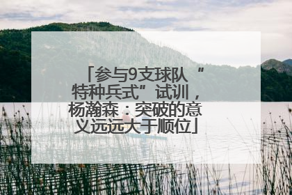 参与9支球队“特种兵式”试训，杨瀚森：突破的意义远远大于顺位
