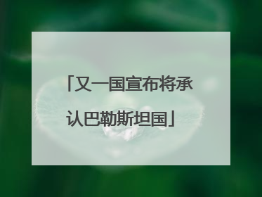 又一国宣布将承认巴勒斯坦国
