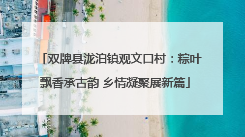 双牌县泷泊镇观文口村：粽叶飘香承古韵 乡情凝聚展新篇