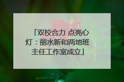 双校合力 点亮心灯：丽水新和两地班主任工作室成立