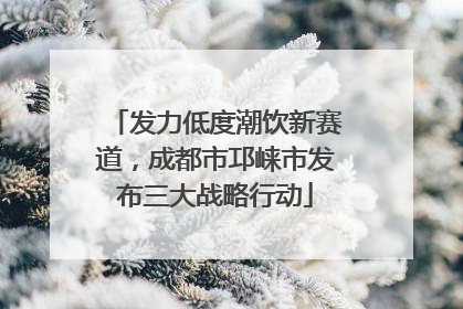 发力低度潮饮新赛道，成都市邛崃市发布三大战略行动