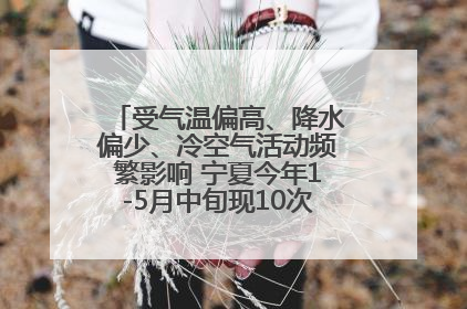 受气温偏高、降水偏少、冷空气活动频繁影响 宁夏今年1-5月中旬现10次定级沙尘天气过程