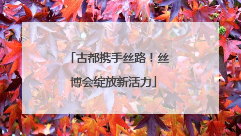 古都携手丝路！丝博会绽放新活力