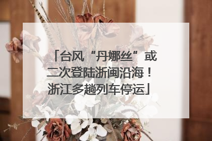 台风“丹娜丝”或二次登陆浙闽沿海！浙江多趟列车停运