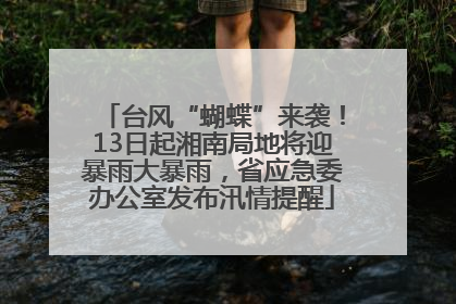 台风“蝴蝶”来袭！13日起湘南局地将迎暴雨大暴雨，省应急委办公室发布汛情提醒